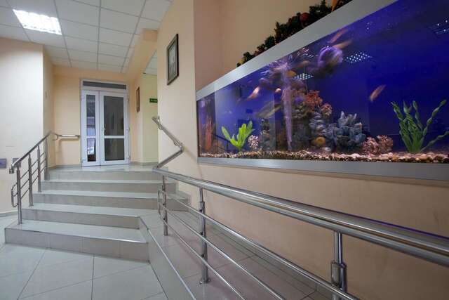 Отель Complex Verhovina Hotel&Restaurant Киев-17